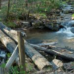 Coontree Creek in Early Spring