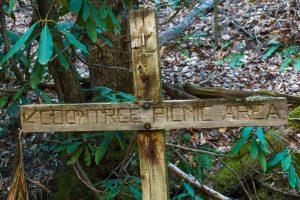 Sign on the West Side of the Coontree Loop Trail