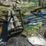 Log Bridge over Coontree Creek