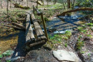 Log Bridge over Coontree Creek