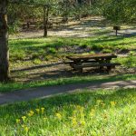 Coontree Picnic Area