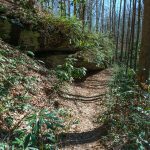 Rock Outcrop on the Coontree Loop Trail