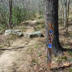 Sign at the Start of the Coontree Loop Trail