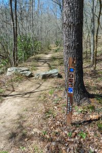 Sign at the Start of the Coontree Loop Trail