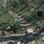 Stone as a Bridge on the Coontree Loop Trail