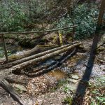 Another Log Bridge on the Coontree Loop Trail