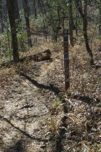 Coontree Loop Trail Sign at Bennett Gap