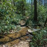 Rock Hop Crossing of Coontree Creek