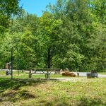 View of the Curtis Creek Campground