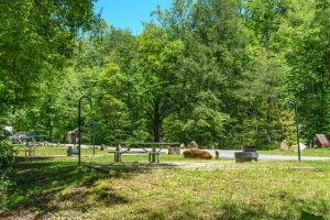 View of the Curtis Creek Campground