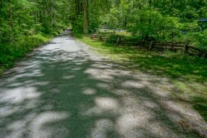 Snooks Nose Trail Parking