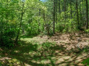 Snooks Nose Trail at the Gap