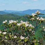 view of Linville Gorge from Snooks Nose