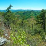 View from Snooks Nose