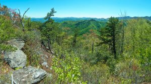 View from Snooks Nose