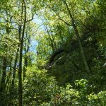 Rock Outcrop Beside the Snooks Nose Trail