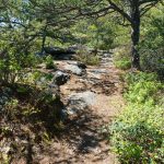 Rocky Ridgeline on Snooks Nose