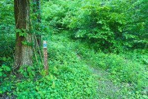 Sign at the Start of the Snooks Nose Trail