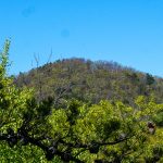 View of Laurel Knob from Snooks Nose