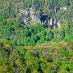 Waterfall on Craggy Knob