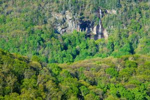 Waterfall on Craggy Knob