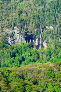 Waterfall on Craggy Knob