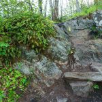 Snowball Trail Rock Steps