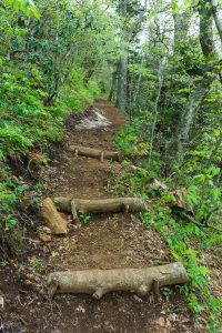 Snowball Trail Steps