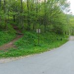 Start of the Snowball/Mountains to Sea Trail in Beetree Gap