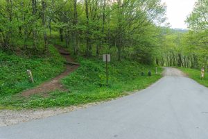 Start of the Snowball/Mountains to Sea Trail in Beetree Gap