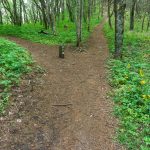 Junction of the Mountains to Sea and Snowball Trails