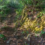 Trail on Snowball Ridge