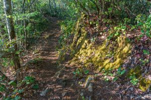 Trail on Snowball Ridge