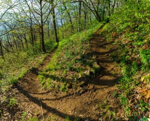 Switchback on the Snowball Trail