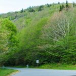 View of Bearpen Knob from Beetree Gap