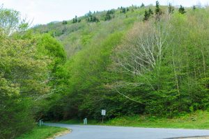 View of Bearpen Knob from Beetree Gap