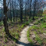 Fire Scalded Shortoff Mountain