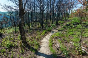 Fire Scalded Shortoff Mountain