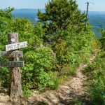 Mountains to Sea and Shortoff Mountain Trail Junction