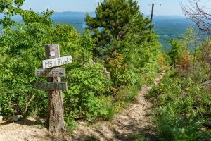 Mountains to Sea and Shortoff Mountain Trail Junction