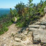 Switchback on Shortoff Mountain