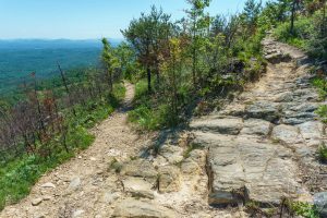 Switchback on Shortoff Mountain