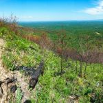 View Climbing Shortoff Mountain