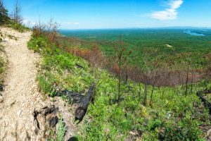 View Climbing Shortoff Mountain