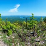 View from the Shortoff Mountain Trail