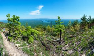 View from the Shortoff Mountain Trail