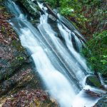 Casita Falls in Spring Foliage