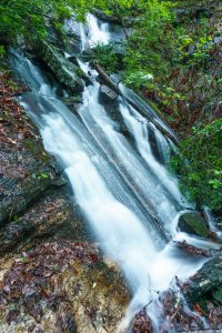 Casita Falls in Spring Foliage