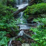 High Swan Falls in Spring Green