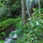 High Swan Falls in Spring Green